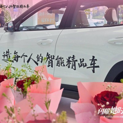 吉利汽车·西安星海宝赢3.8日吉利春季盛惠-闪耀她时代